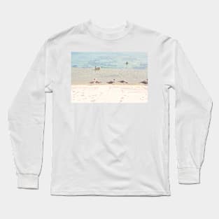 Care Free Grey Gull Long Sleeve T-Shirt